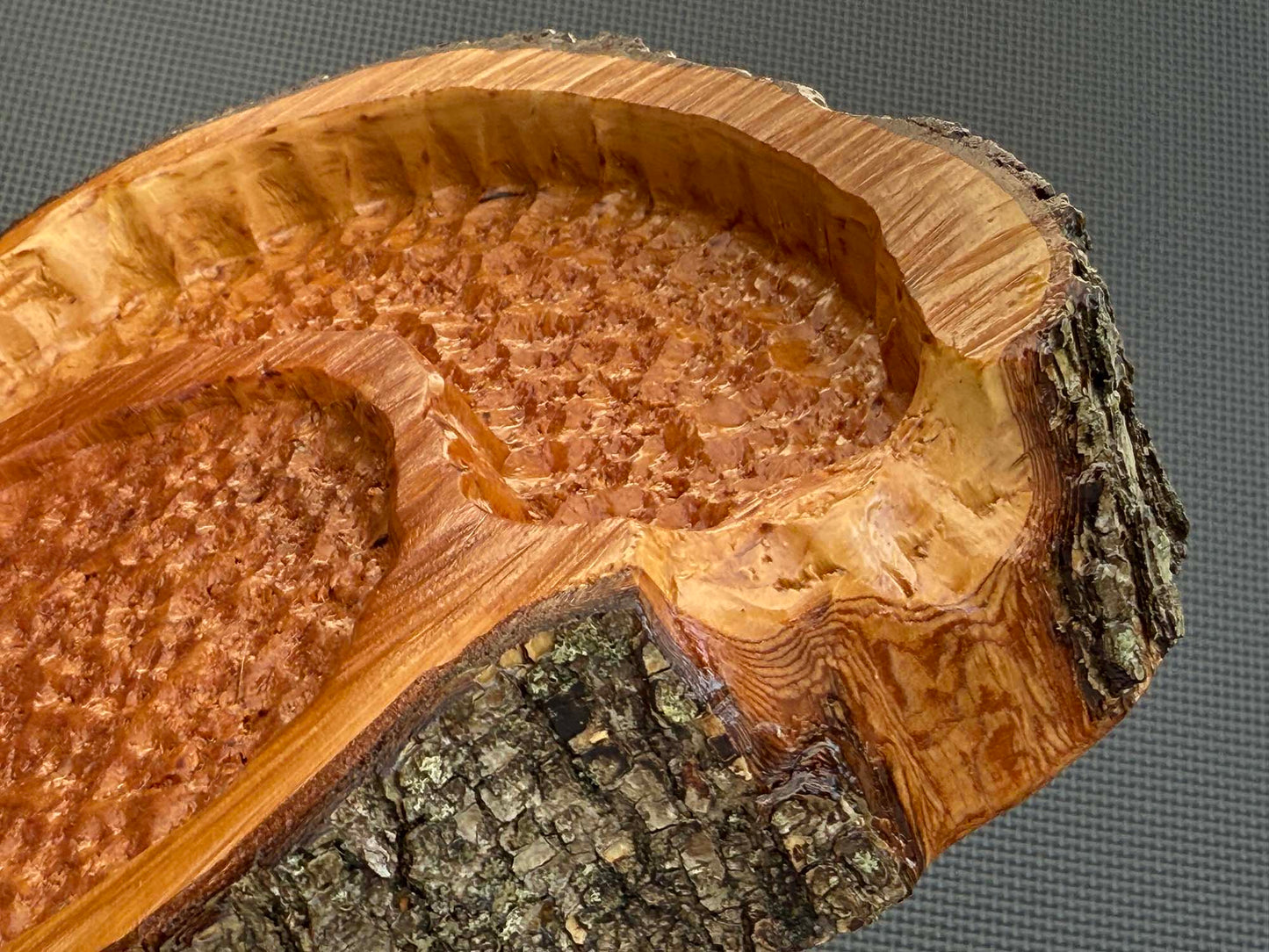 Drink Disc CAT Tray Combo