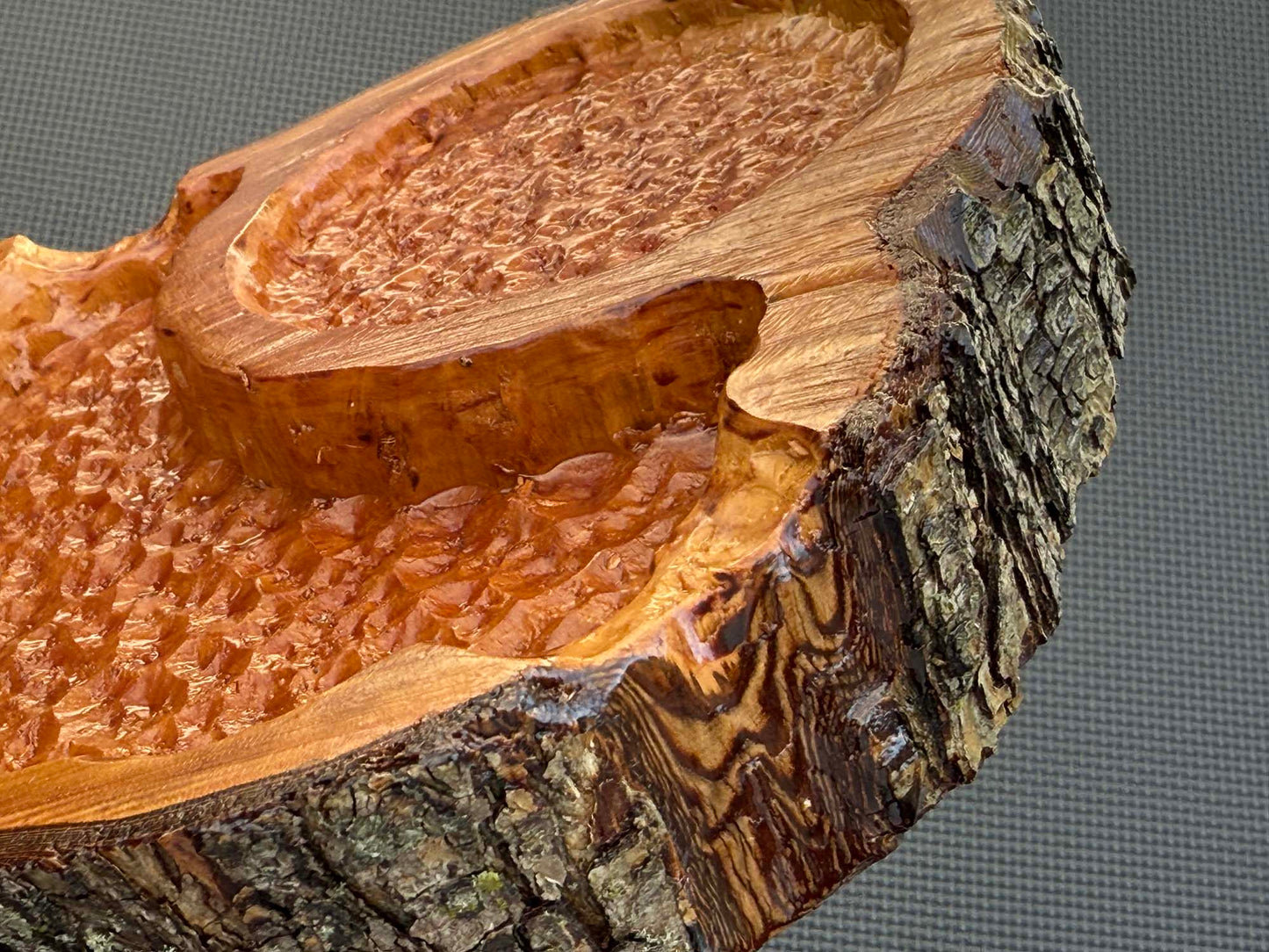 Drink Disc CAT Tray Combo