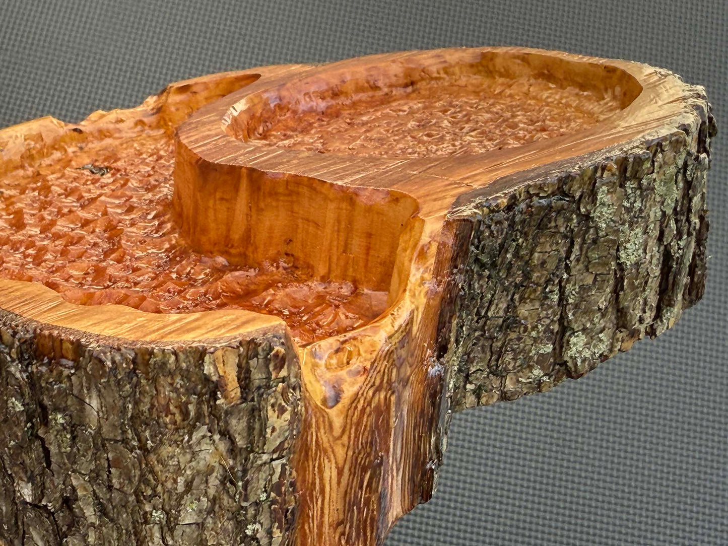 Drink Disc CAT Tray Combo